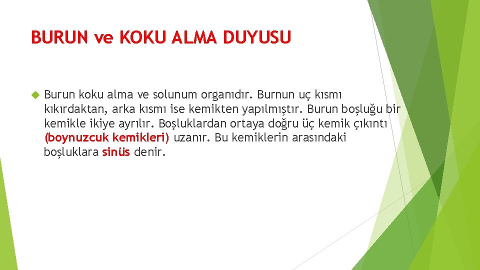 BURUN ve KOKU ALMA DUYUSU Burun koku alma ve solunum organıdır. Burnun uç kısmı