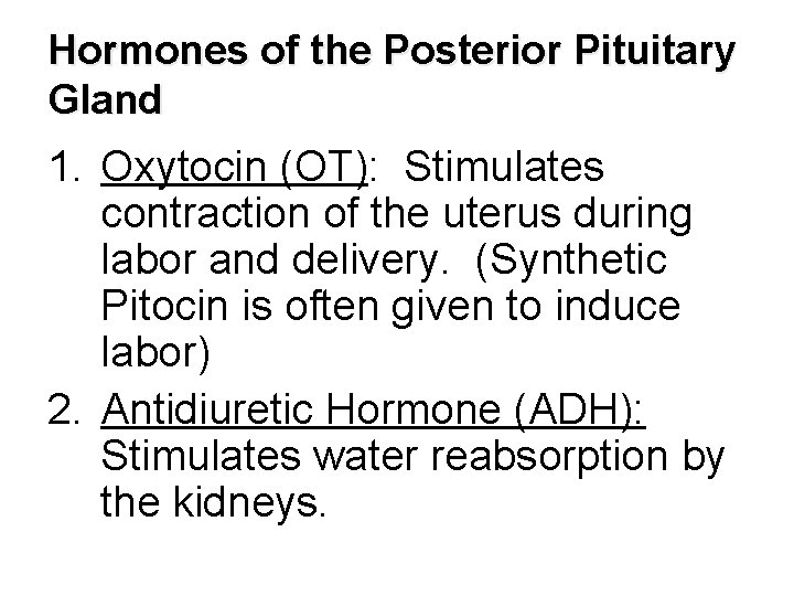 Hormones of the Posterior Pituitary Gland 1. Oxytocin (OT): Stimulates contraction of the uterus