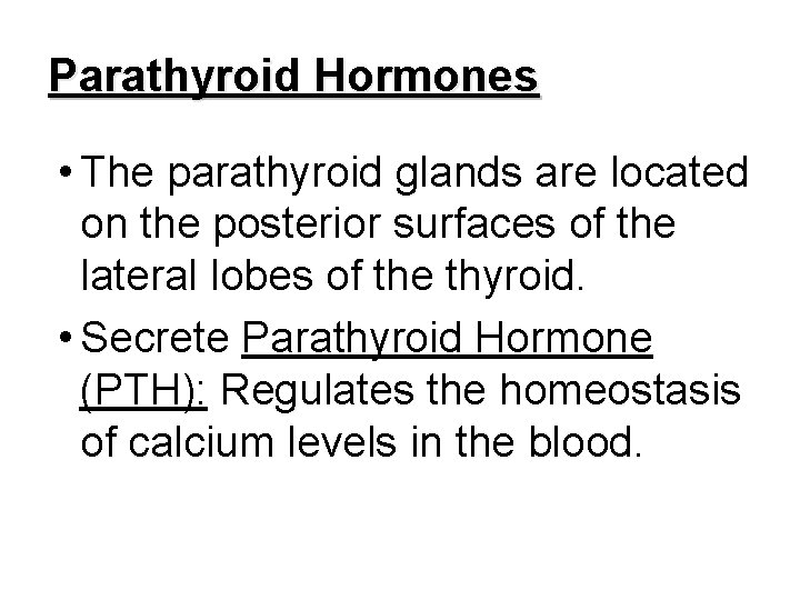Parathyroid Hormones • The parathyroid glands are located on the posterior surfaces of the