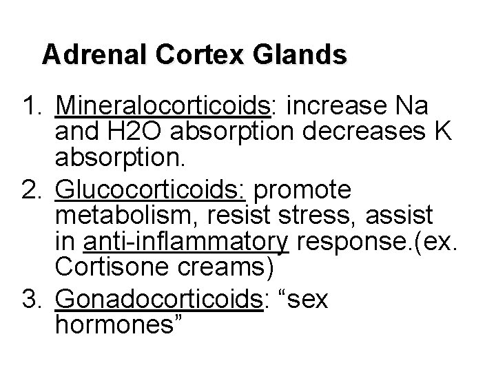 Adrenal Cortex Glands 1. Mineralocorticoids: increase Na and H 2 O absorption decreases K