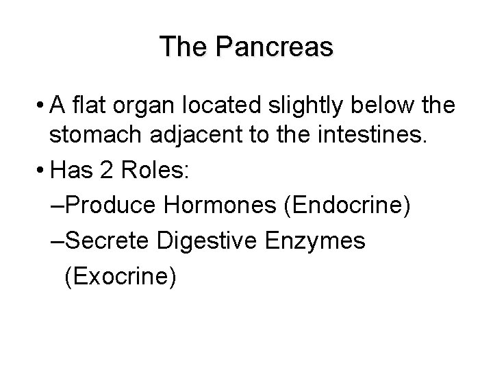 The Pancreas • A flat organ located slightly below the stomach adjacent to the