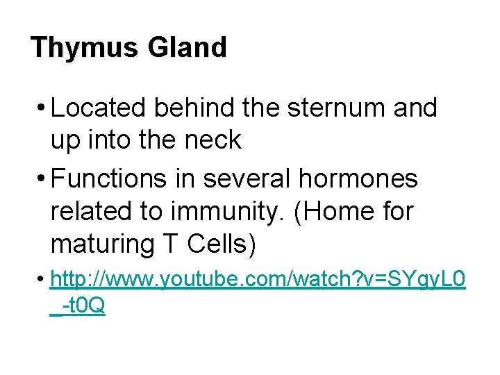Thymus Gland • Located behind the sternum and up into the neck • Functions