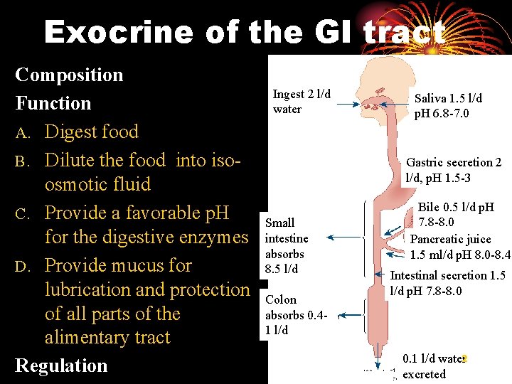 Exocrine of the GI tract Composition Function A. Digest food B. Dilute the food