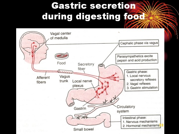 Gastric secretion during digesting food 32 