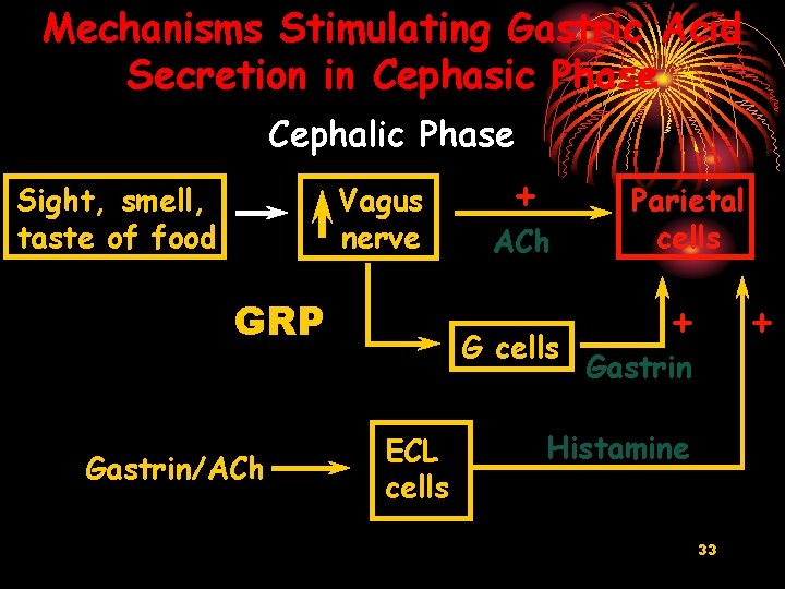 Mechanisms Stimulating Gastric Acid Secretion in Cephasic Phase Cephalic Phase Sight, smell, taste of