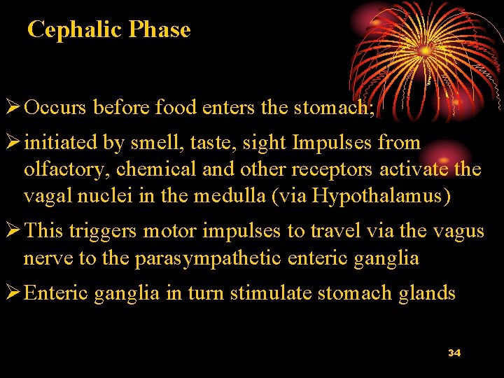 Cephalic Phase 1. Cephalic phase Ø Occurs before food enters the stomach; Ø initiated