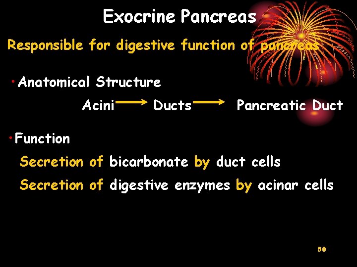 Exocrine Pancreas Responsible for digestive function of pancreas • Anatomical Structure Acini Ducts Pancreatic