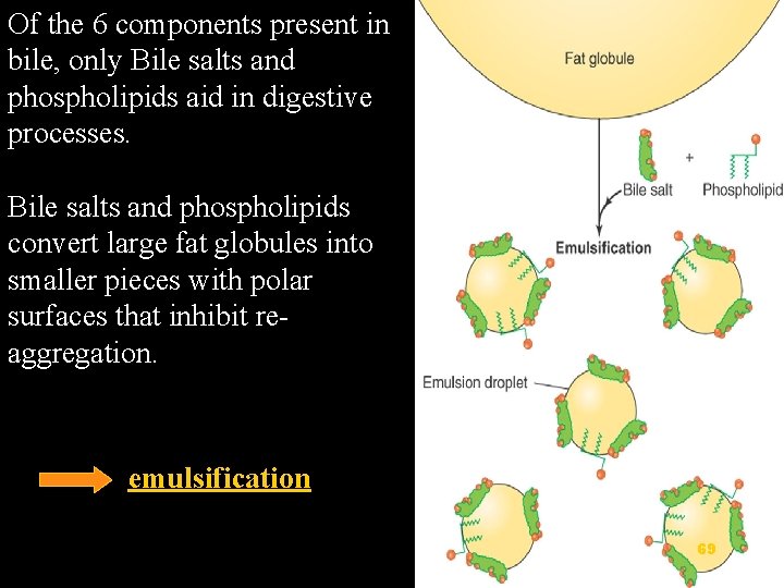 Of the 6 components present in bile, only Bile salts and phospholipids aid in