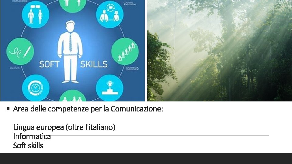 § Area delle competenze per la Comunicazione: Lingua europea (oltre l'italiano) Informatica Soft skills
