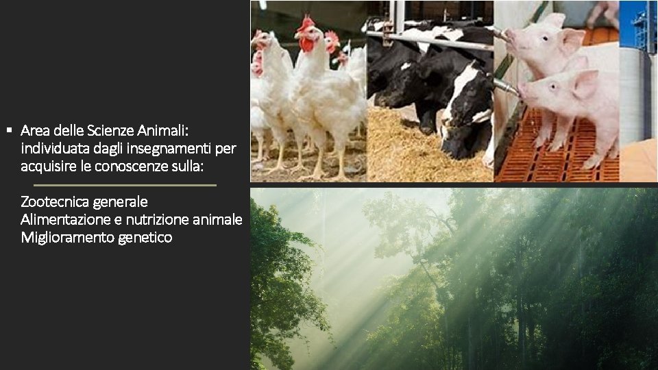 § Area delle Scienze Animali: individuata dagli insegnamenti per acquisire le conoscenze sulla: Zootecnica