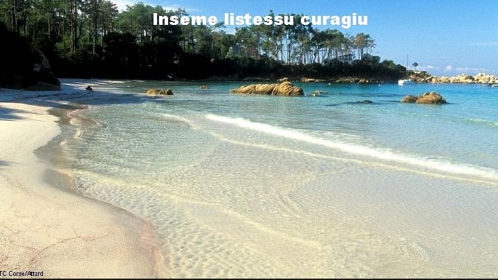 Inseme listessu curagiu 