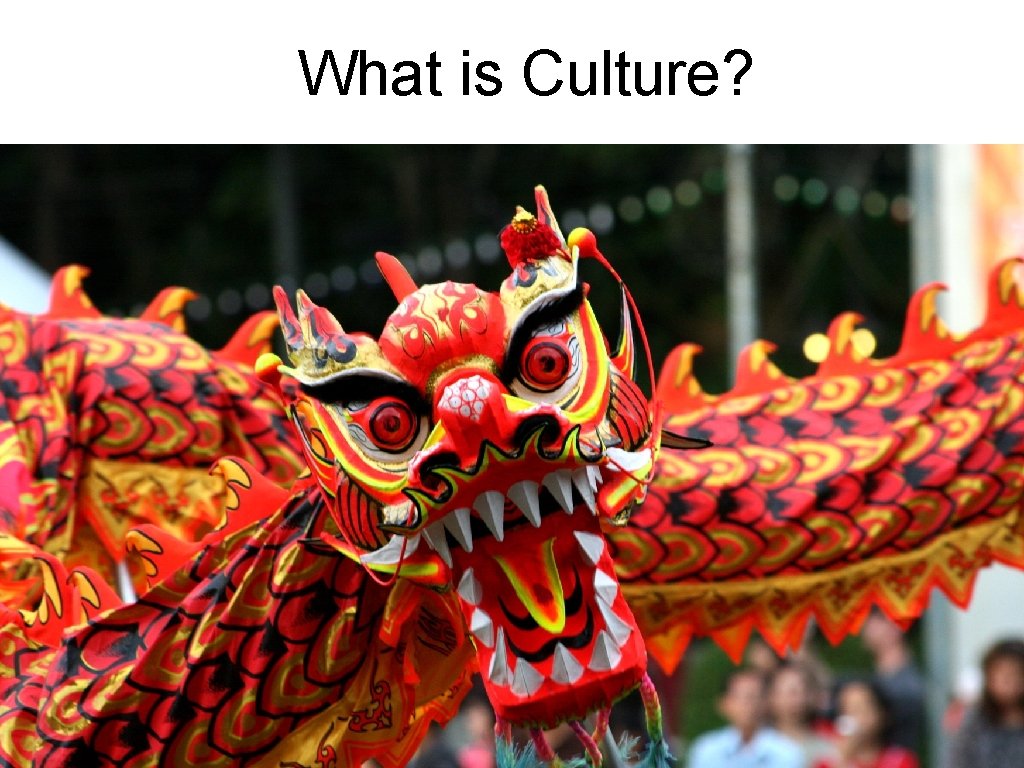 What is Culture? What is Culture?
