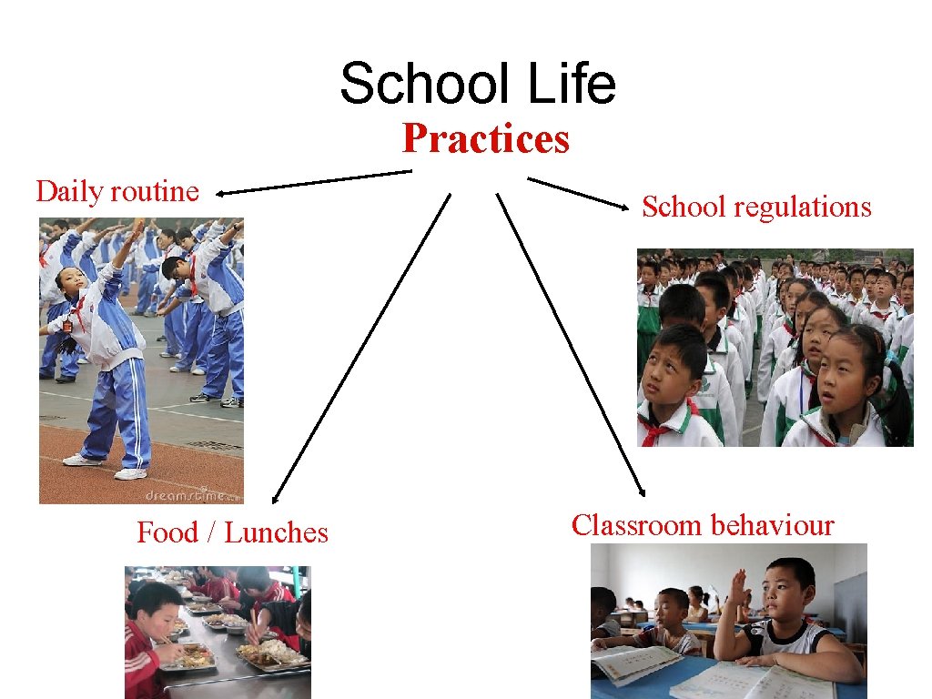 School Life Practices Daily routine Food / Lunches School regulations Classroom behaviour School Life Practices Daily routine Food / Lunches School regulations Classroom behaviour
