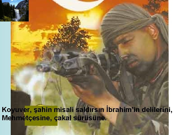 Koyuver, şahin misali saldırsın İbrahim’in delilerini, Mehmetçesine, çakal sürüsüne. 