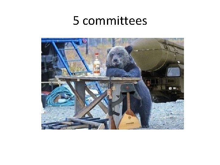 5 committees 