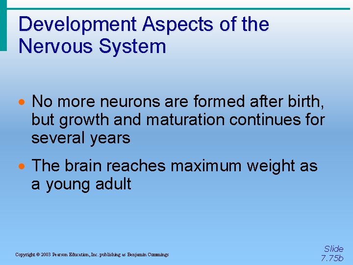 Development Aspects of the Nervous System · No more neurons are formed after birth,