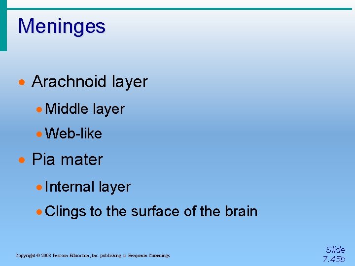 Meninges · Arachnoid layer · Middle layer · Web-like · Pia mater · Internal
