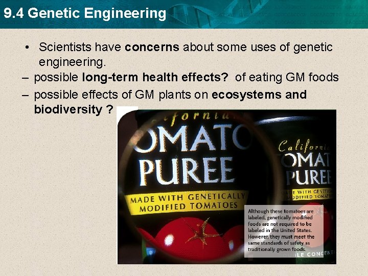 9. 4 Genetic Engineering • Scientists have concerns about some uses of genetic engineering.