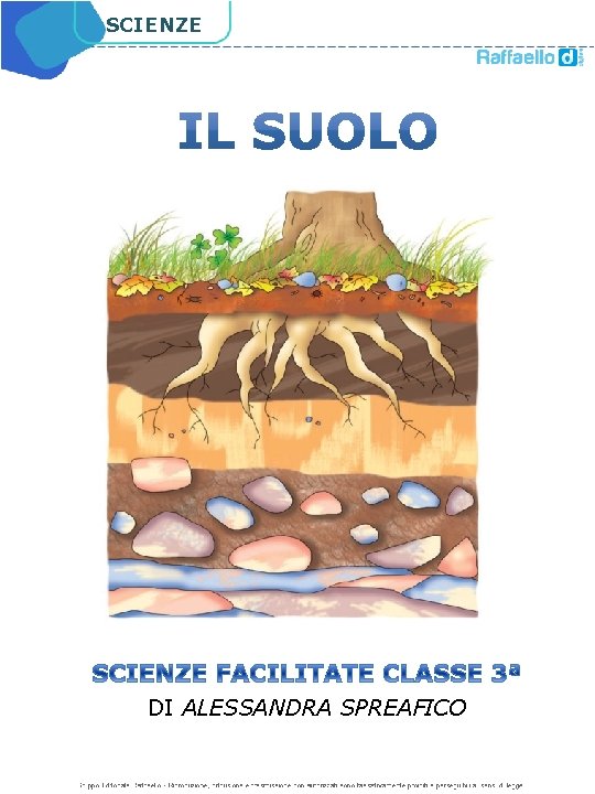 SCIENZE DI ALESSANDRA SPREAFICO 