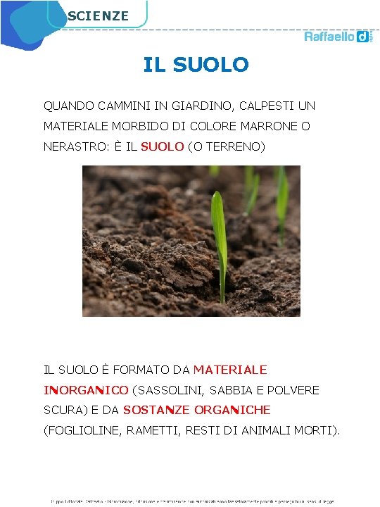 SCIENZE IL SUOLO QUANDO CAMMINI IN GIARDINO, CALPESTI UN MATERIALE MORBIDO DI COLORE MARRONE