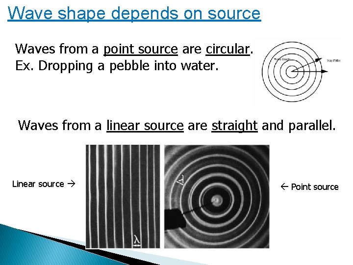 Wave shape depends on source Waves from a point source are circular. Ex. Dropping