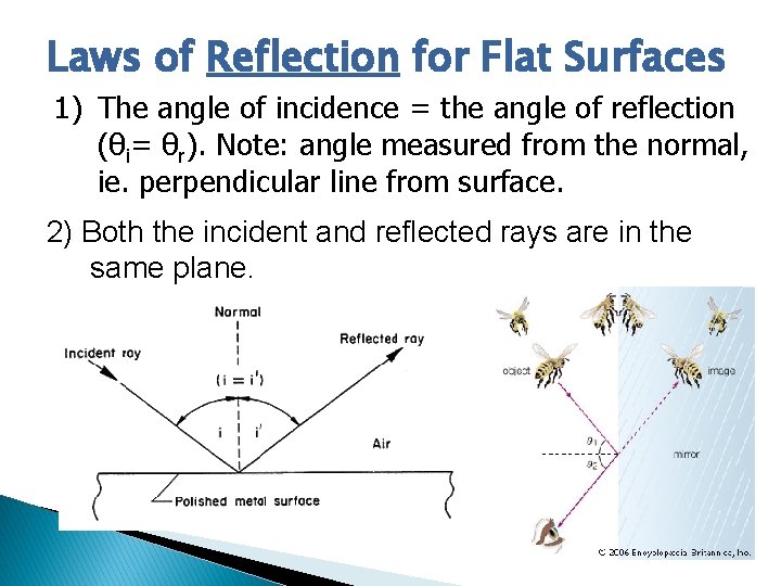 Laws of Reflection for Flat Surfaces 1) The angle of incidence = the angle