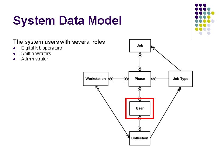 System Data Model The system users with several roles l l l Digital lab