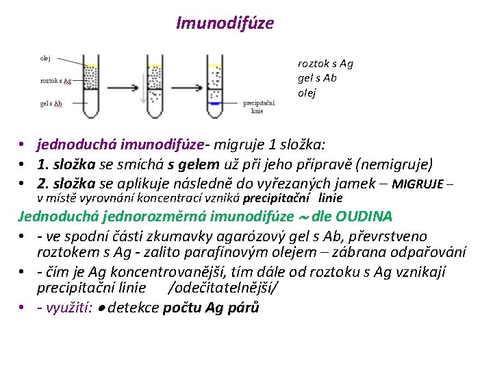 Imunodifúze roztok s Ag gel s Ab olej • jednoduchá imunodifúze- migruje 1 složka: