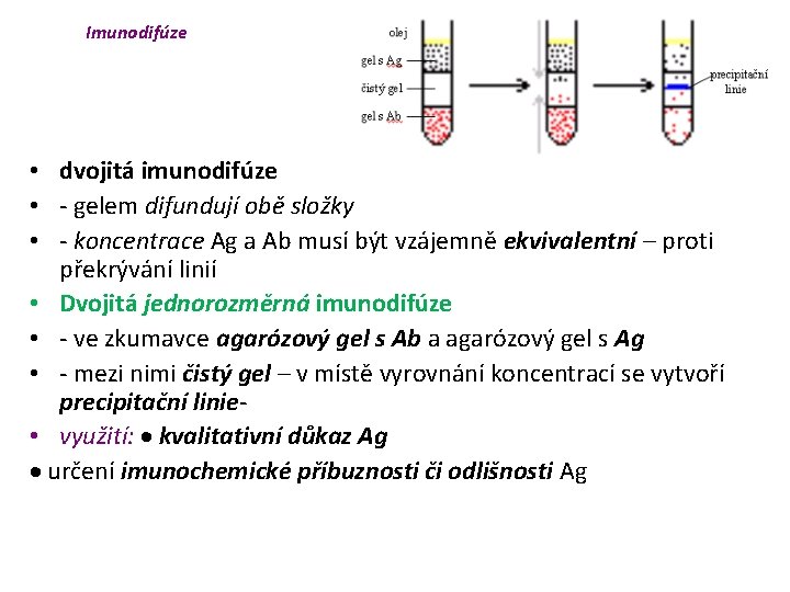 Imunodifúze • dvojitá imunodifúze • - gelem difundují obě složky • - koncentrace Ag