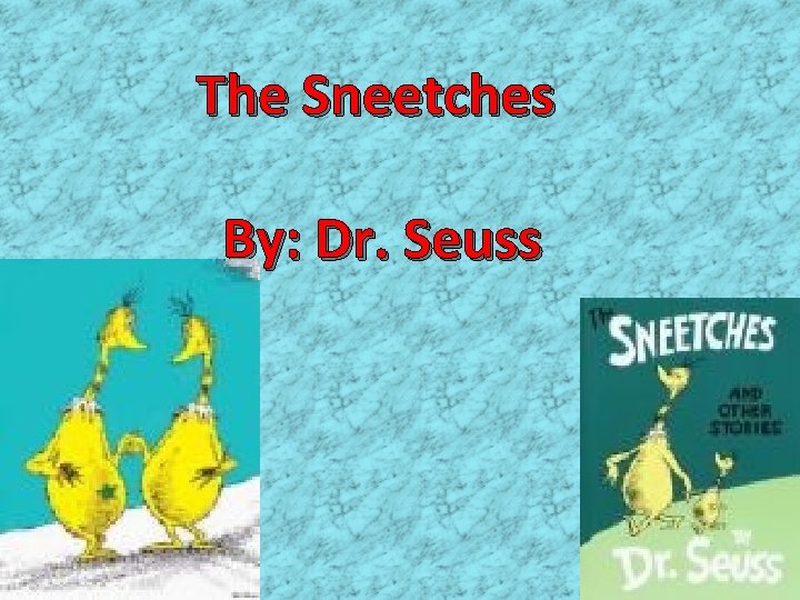 The Sneetches By: Dr. Seuss 
