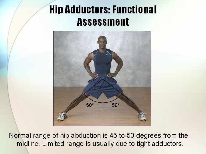 Hip Adductors: Functional Assessment 50° Normal range of hip abduction is 45 to 50