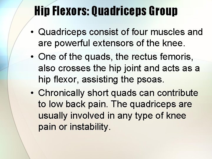 Hip Flexors: Quadriceps Group • Quadriceps consist of four muscles and are powerful extensors