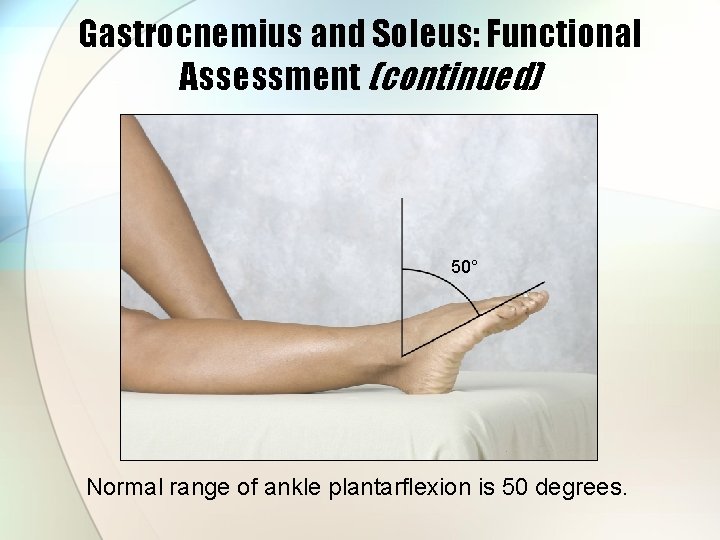 Gastrocnemius and Soleus: Functional Assessment (continued) 50° Normal range of ankle plantarflexion is 50