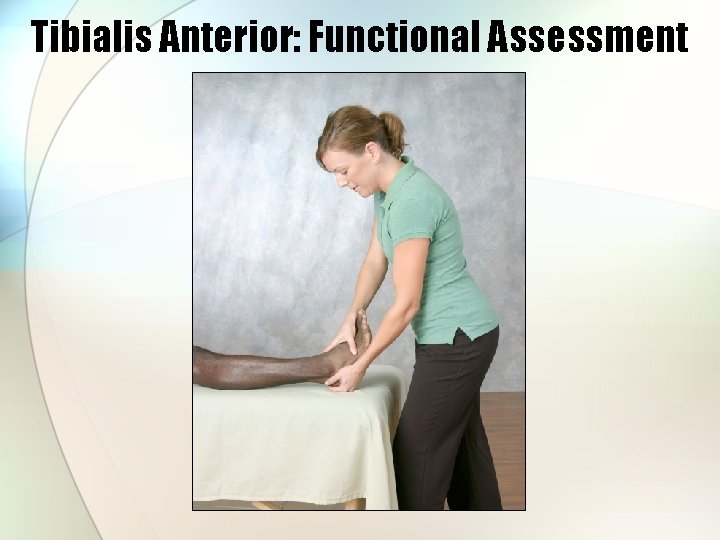 Tibialis Anterior: Functional Assessment 
