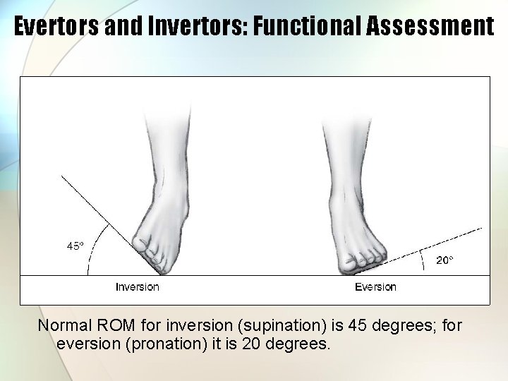 Evertors and Invertors: Functional Assessment Normal ROM for inversion (supination) is 45 degrees; for