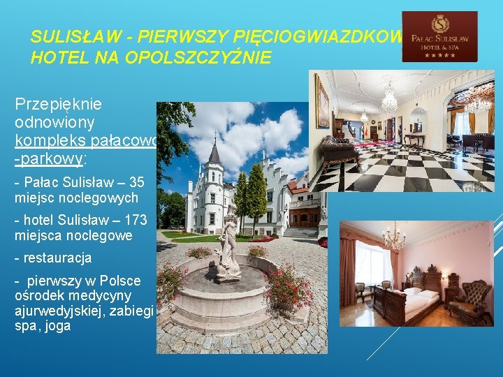 SULISŁAW - PIERWSZY PIĘCIOGWIAZDKOWY HOTEL NA OPOLSZCZYŹNIE Przepięknie odnowiony kompleks pałacowo -parkowy: - Pałac