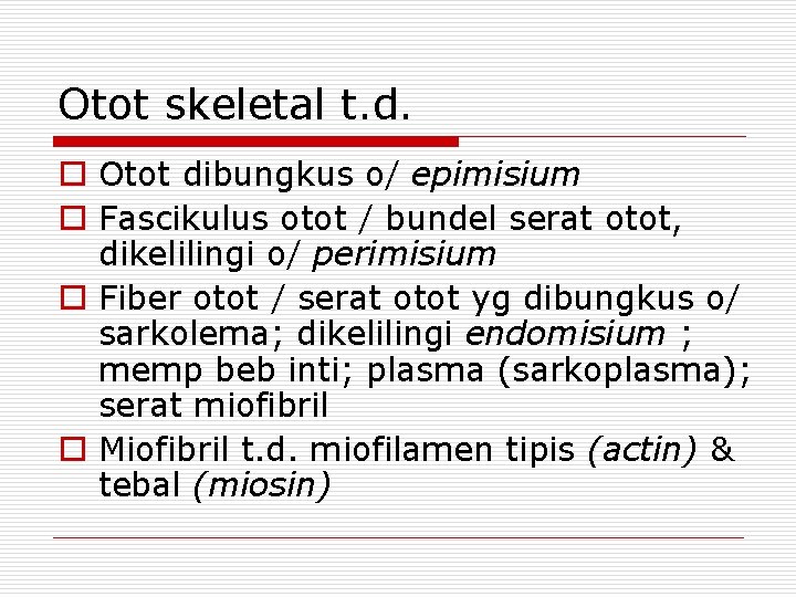 Otot skeletal t. d. o Otot dibungkus o/ epimisium o Fascikulus otot / bundel