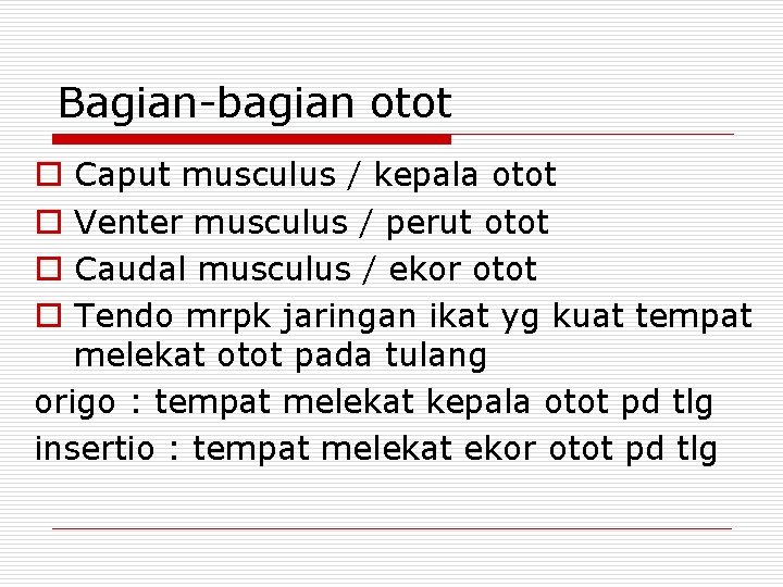 Bagian-bagian otot Caput musculus / kepala otot Venter musculus / perut otot Caudal musculus