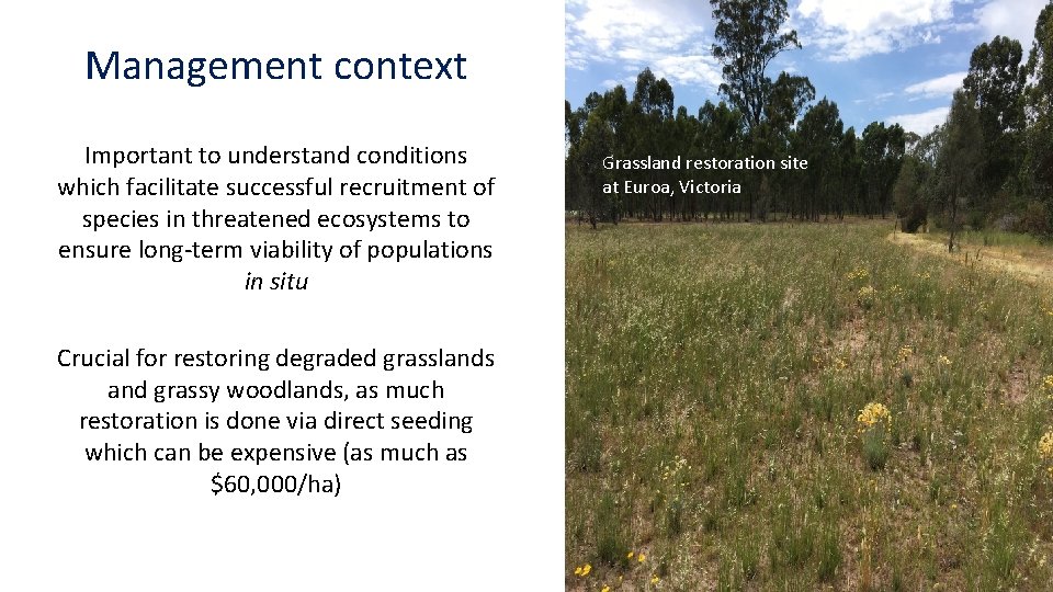 Management context Important to understand conditions which facilitate successful recruitment of species in threatened