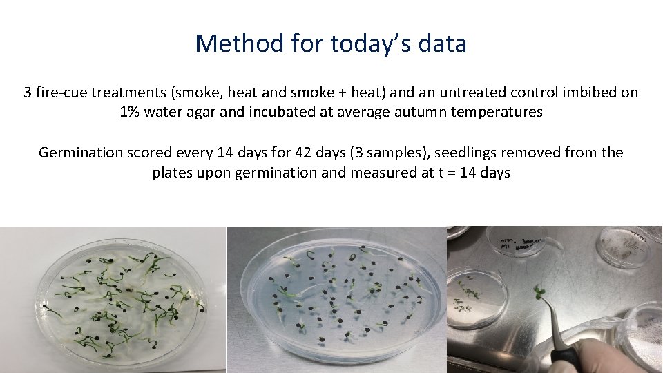 Method for today’s data 3 fire-cue treatments (smoke, heat and smoke + heat) and