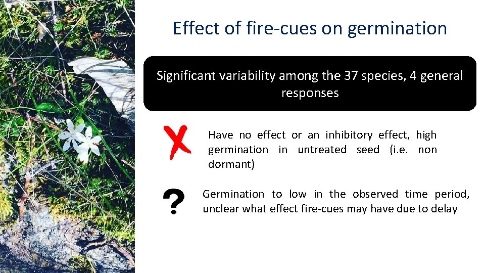 Effect of fire-cues on germination Significant variability among the 37 species, 4 general responses