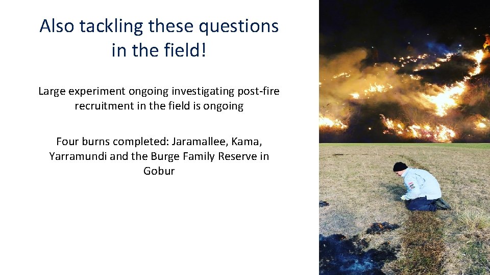 Also tackling these questions in the field! Large experiment ongoing investigating post-fire recruitment in