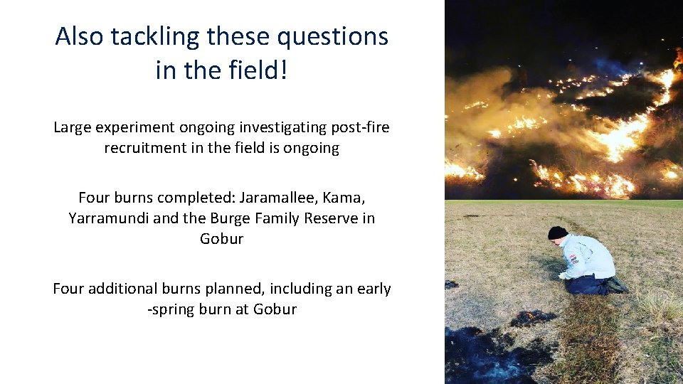 Also tackling these questions in the field! Large experiment ongoing investigating post-fire recruitment in
