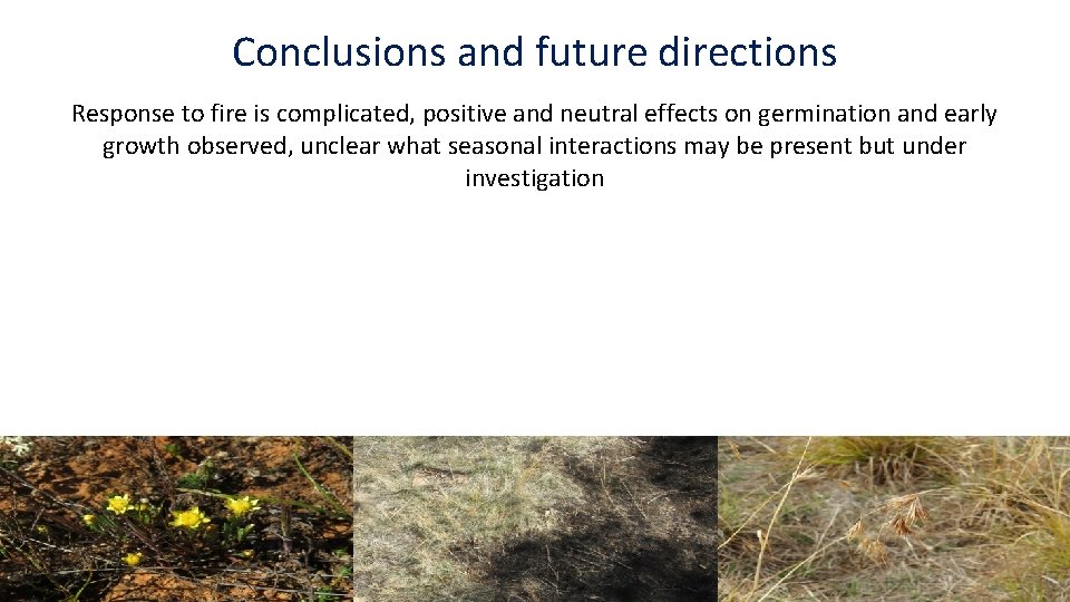 Conclusions and future directions Response to fire is complicated, positive and neutral effects on