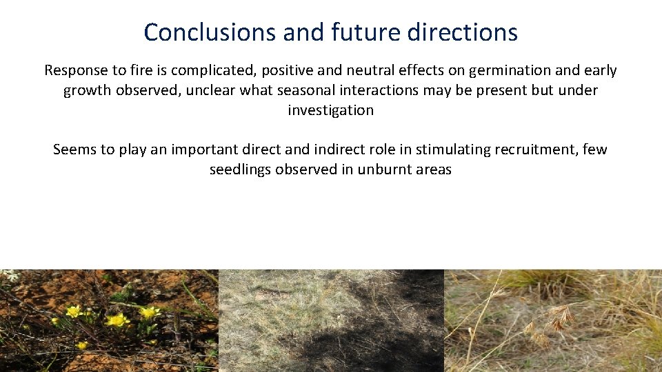 Conclusions and future directions Response to fire is complicated, positive and neutral effects on