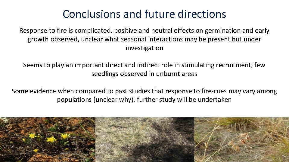 Conclusions and future directions Response to fire is complicated, positive and neutral effects on