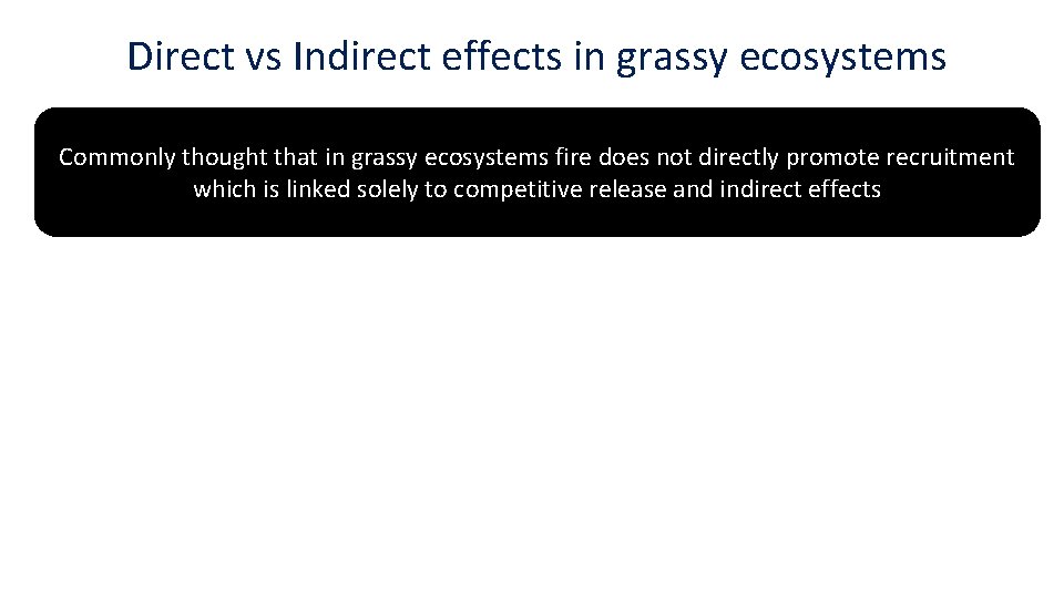 Direct vs Indirect effects in grassy ecosystems Commonly thought that in grassy ecosystems fire