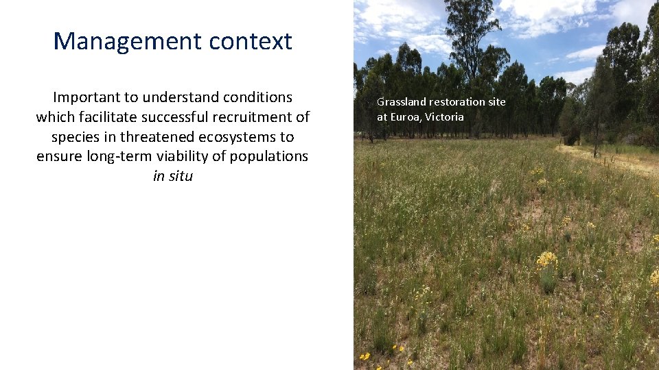 Management context Important to understand conditions which facilitate successful recruitment of species in threatened