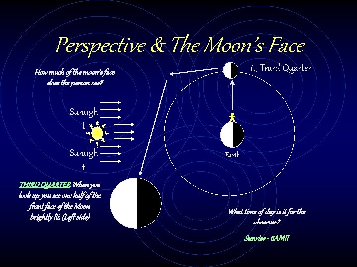 Perspective & The Moon’s Face (7) Third Quarter How much of the moon’s face