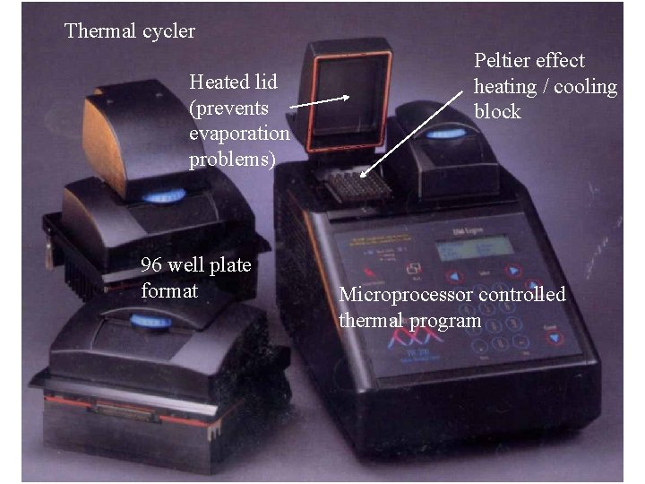 Thermal cycler Heated lid (prevents evaporation problems) 96 well plate format Peltier effect heating